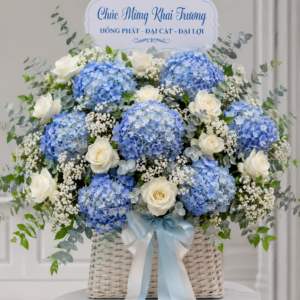 hoa khai trương